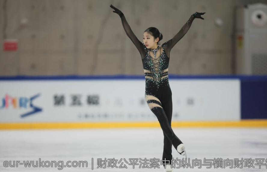 财政公平法案中的纵向与横向财政平衡机制
